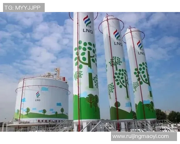 数据分析揭示LNG市场意识变化及其对未来发展的影响探讨