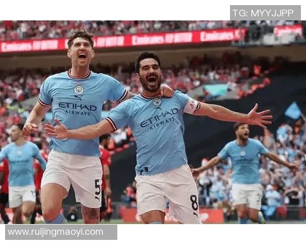 曼城与纽卡精彩对决录像回放分析及精彩瞬间集锦