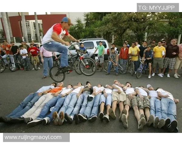 广州极限运动队节奏表现的数据分析与趋势研究MBA