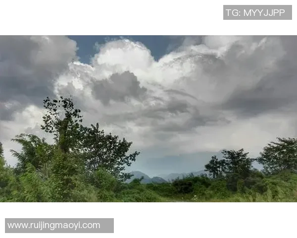 德国与智利激战正酣实况转播精彩瞬间全记录