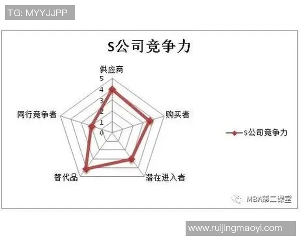 杭州篮球队控制策略解析及其对球队发展的影响探讨MBA