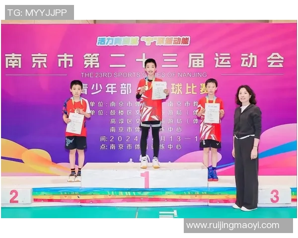 南京羽毛球队进攻策略分析与表现评估探讨